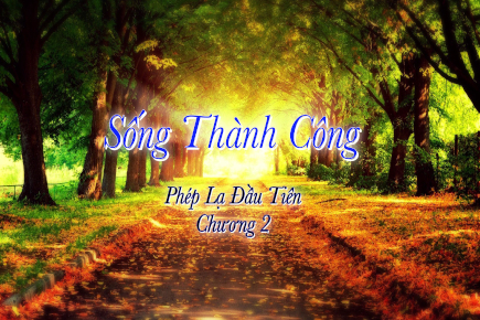 songthanhcong02 435x290 1