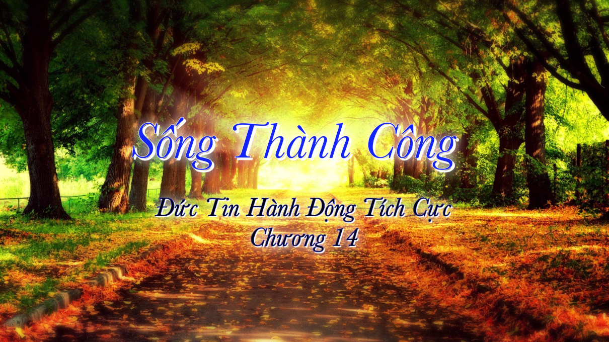 songthanhcong14 1210x680