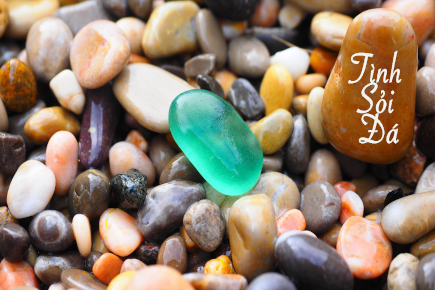 01ThoTinhSoiDa 1280x720pebbles 1090536 1280 min
